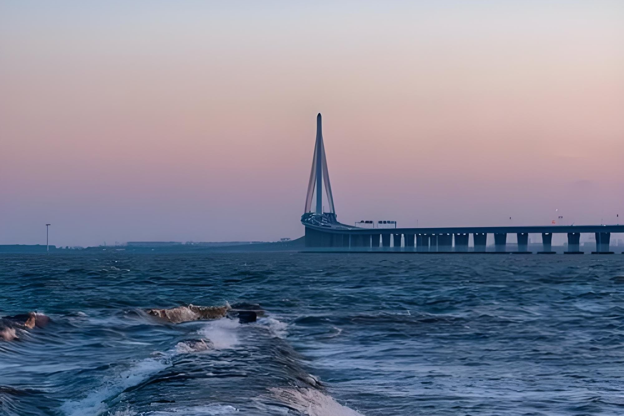 Photograph of the Chongming Island area