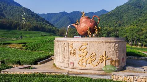 Tea terraces and hills in Longwu, Hangzhou