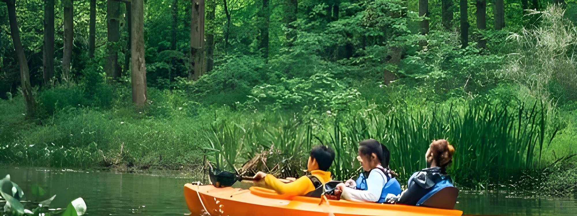 Photograph of the Dongping forest-park cycling loop