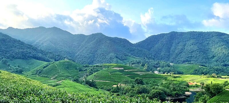 Tea terraces near Hejia Village in Longwu, with the Cycling Park in the distance