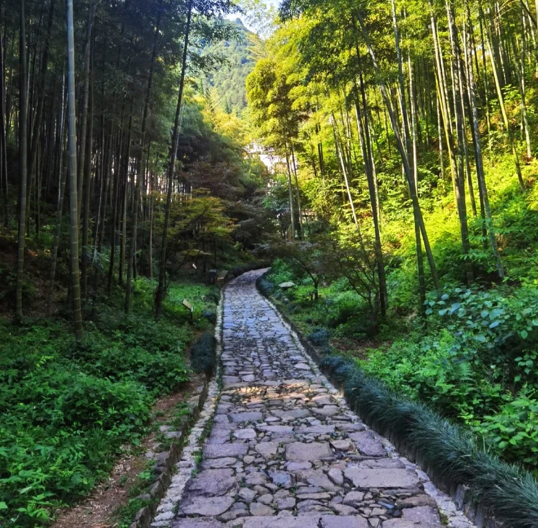 Stone-paved Jingshan Ancient Path through bamboo forest with traditional stone gateway