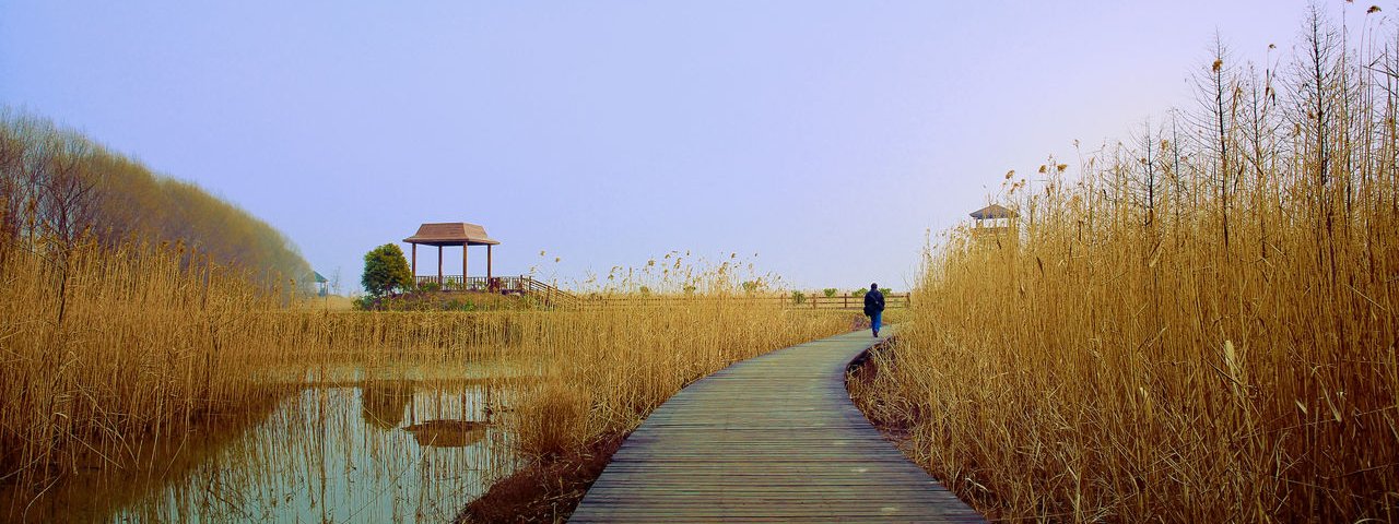 Photograph of the West Chongming orchard-ride route